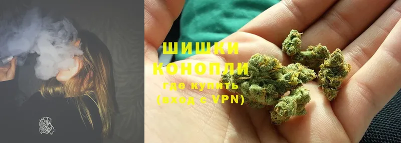 Бошки Шишки THC 21%  Истра 